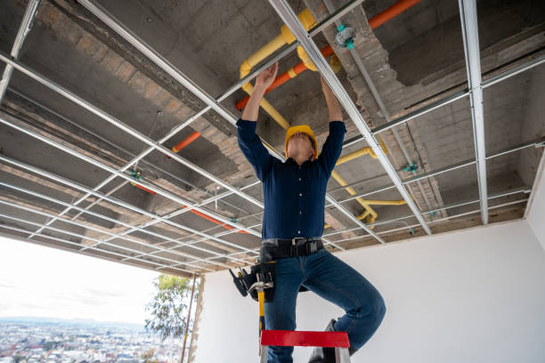 Best Clogged Drain Plumber  in Opa Locka, FL